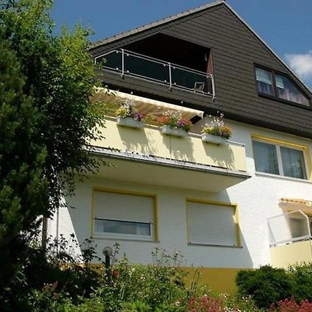 Ferienwohnungen Luttmann Ausblick Pur Bad Pyrmont Kültér fotó